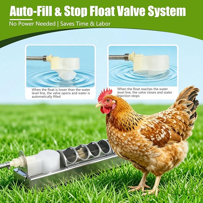 Automatic Chicken Waterer Stainless Steel Poultry Fountains Chicken Waterer System Water Dispenser Waterer Float Controlled for Duck Goose Pigeon Quail