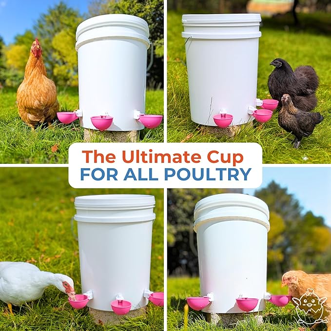 Lil'Clucker - Large Automatic Chicken Waterer Cups Suitable for Ducks, Geese, Turkeys, and Bunny Rabbit - Water Feeder Kit - Poultry Waterer (Pink, 12 Pack)