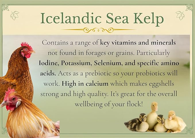 Nutrtional Yeast w/Niacin + Sea Kelp + Herbs + Vitamins + Protein+ Calcium. Duck Supplements, Duck Vitamins, Chickens. (Niacin Deficiency, Immune System Support) Brewer's Yeast.