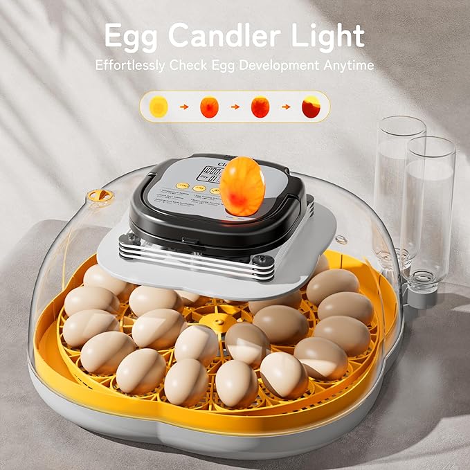 25 Egg Incubator, Temperature & Humidity Control, Programmable Automatic Egg Turning & Auto Stop, Settable Incubation Period, Egg Candler, Auto Water Refill, Air Vent, Hatching Chicken, Duck, Quail