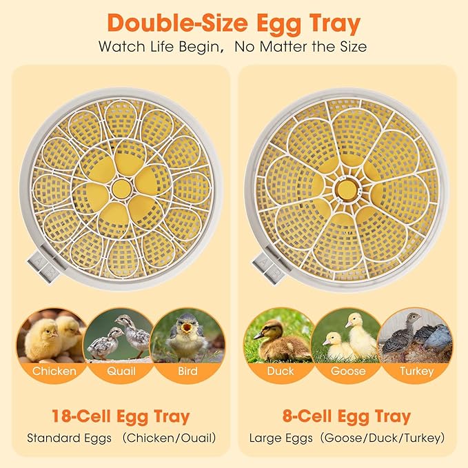18 Egg Incubator with Automatic Egg Turning & Humidity Control, Built-in Egg Candler, 360° View Window & Dual-Size Trays for Chicken, Duck, Quail, Goose Eggs – Ideal for Farm, Classroom, Home