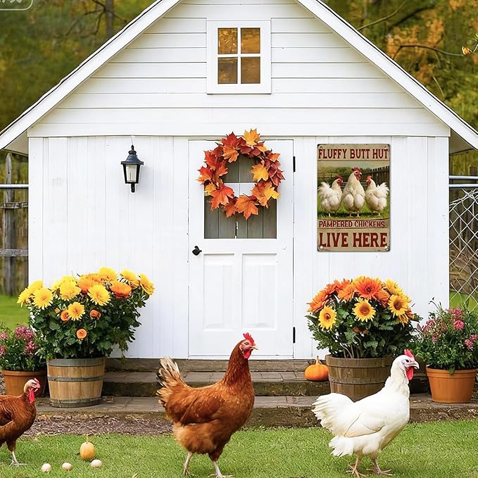 Chicken Decor Metal Signs Funny Chicken Coop Signs Rooster Decor Farmhouse Wall Art Sign Fluffy Butt Hut Pampered Chickens Live Here Tin Sign for Farm Kitchen Garden, Farm Style Gift, 12x8 Inc