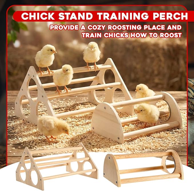 9 Pcs Chick Feeder and Waterer Kit Feeding Supplies with Mini Perch Chicken Starter Kit Small Chick Brooder Box for Chicken Duck Quail Coop Small Poultry