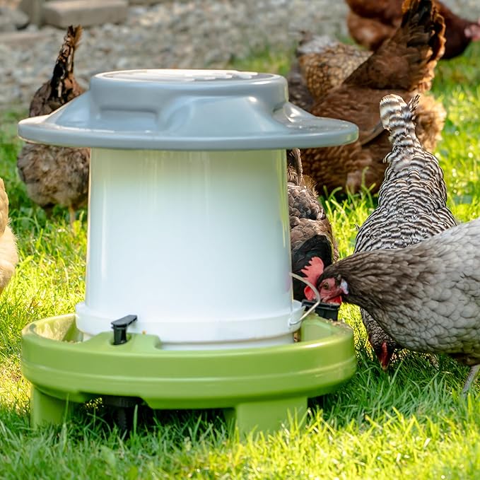 American Home Self-Filling Farmstead Chicken Feeder, 30 lb Capacity, Fits Standard 5-Gallon Bucket, Outdoor Weather-Resistant Design
