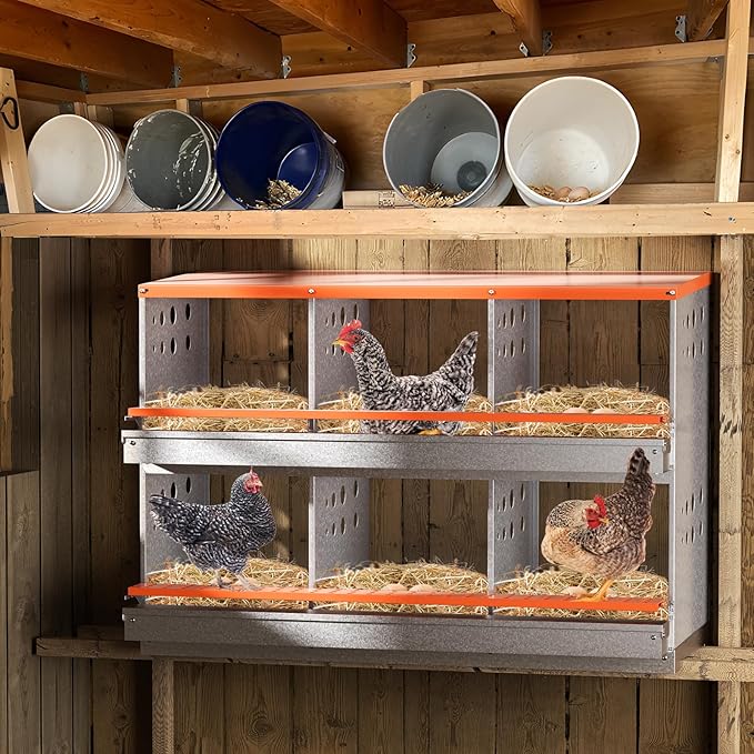 Chicken Nesting Box, 6 Compartment Metal Nesting Boxes for Chickens Laying Eggs, Rust Proofed Nest Box with Roll Away Egg Collection Laying Box for Chicken Coop