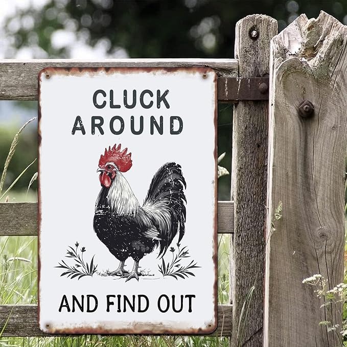 Sanwarm Funny Chicken Gifts Metal Sign Chickens Cluck Around and Find Out Tin Signs For Home Farm Chicken Coop Farmhouse Kitchen Garden Wall Decor Grey Poster Vintage Hanging Painting 12 X 8 Inch