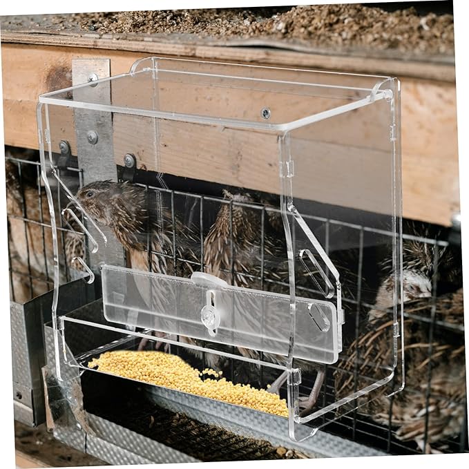 Automatic Chicken Feeder Acrylic Food Bowl Rutin Chicken Cage Feeding Tool for Parrots and Birds PET Breeding Supplies