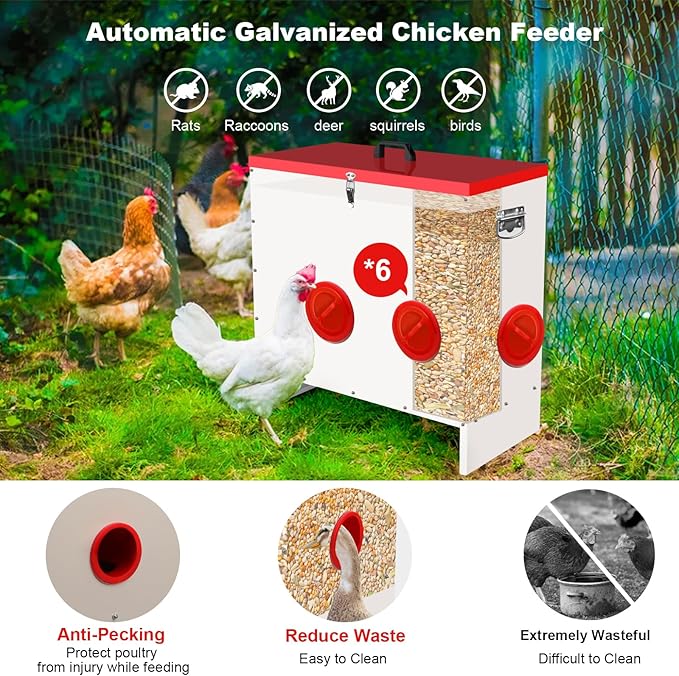 Professional Automatic Chicken Feeder (50LB) - 6 Port Metal Chicken Feeder，Large Capacity Automatic Poultry Feeder System, No Waste Poultry Feeder with Locking Lid for Chickens, Ducks&Poultry