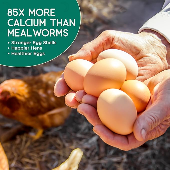 FLYGRUBS 20 lbs Dried Mealworms for Chickens – 85X More Calcium,Non-GMO,High-Protein Feed & Molting Supplement for Hens, Ducks, Turkeys, Wild Birds, Additive & Preservative Free