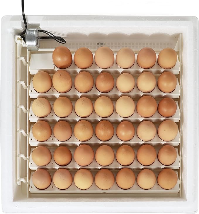 Farm Innovators Automatic Egg Turner, 41 Spot Chicken Egg Turning Tray with Thermometer for Improved Hatching Rate - Compatible with Select Incubators