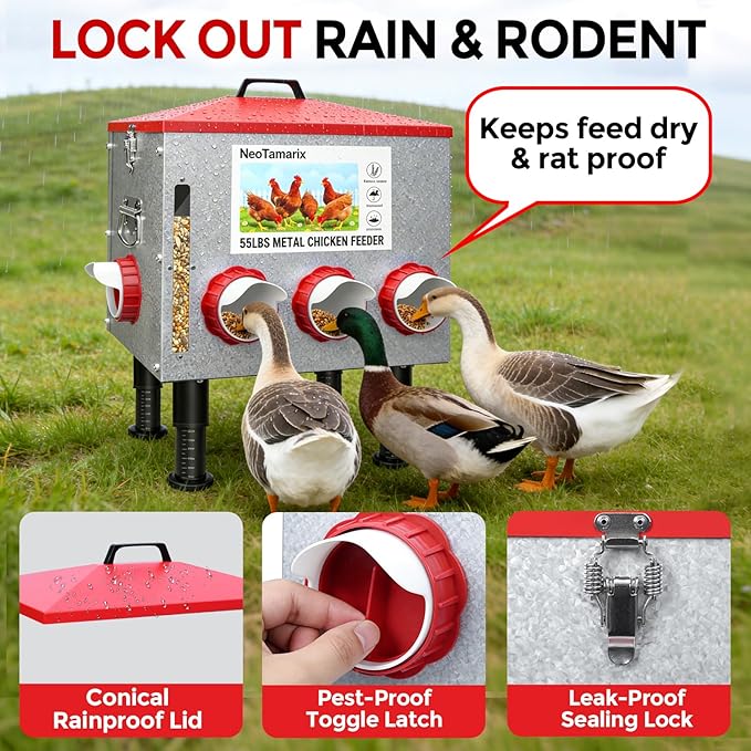 55lbs No Waste Automatic Chicken Feeder, Large Metal Poultry Feeder with 8 Feeding Ports & View Window, Weatherproof, Adjustable Height, and Locking Lid for Chickens, Ducks, Geese