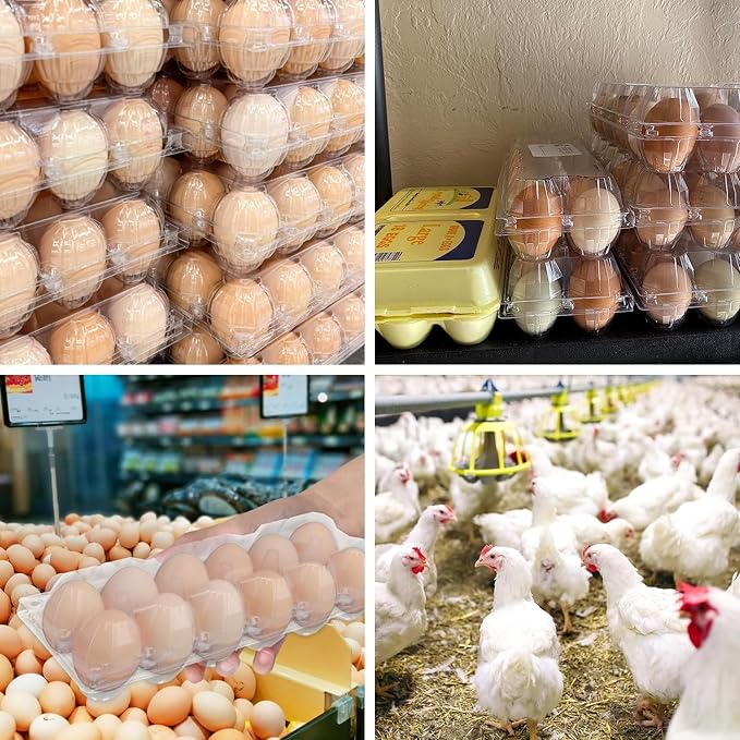 Plastic Egg Cartons Bulk 2x6 Egg Holders Style Holds 12 Eggs - Half Dozen Storage Perfect for Family Pasture, Groceries Chicken Farm, Refrigerator Storage (12 Grids) 50 Pack