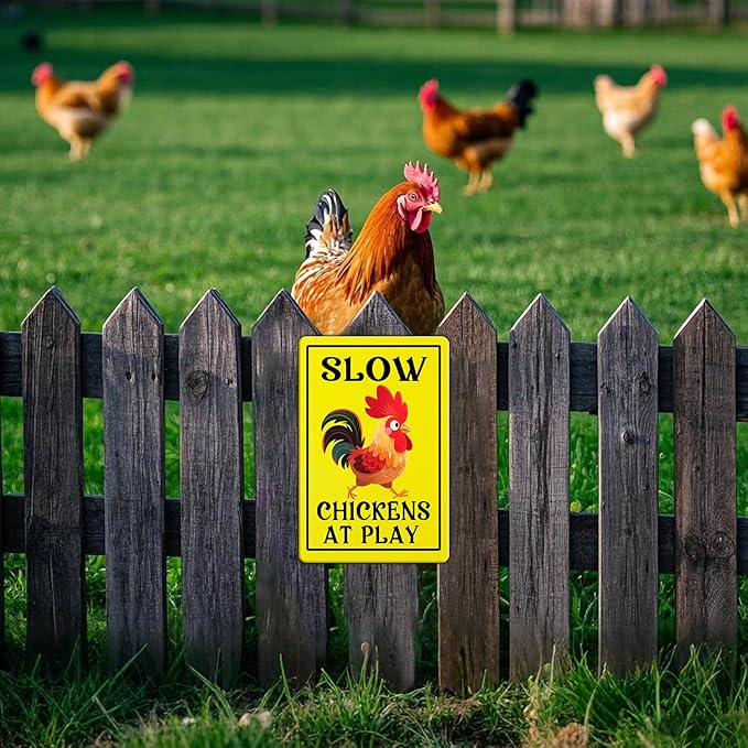 Vintage Slow Tin Sign Chickens at Play Metal Sign Funny Chicken Coop Yard Poster Home Kitchen Coffee Garden Wall Decor 12x8 Inch