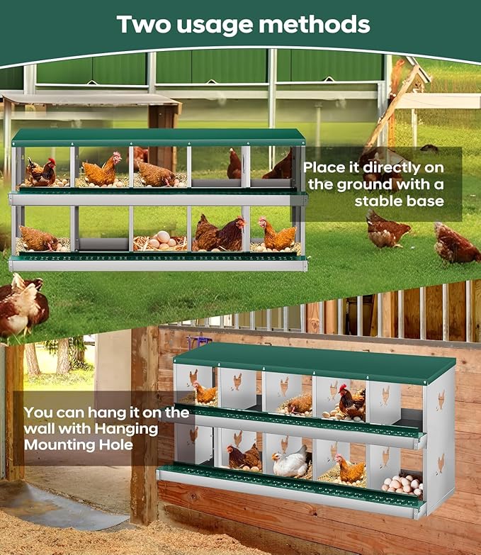10-Hole Double-Tier Chicken Nesting Box - Large Galvanized Steel Rollaway Egg Laying Box - Vented, Easy Clean, Wall Mount or Freestanding Hen Coop Accessory with Egg Collection Tray, Green,