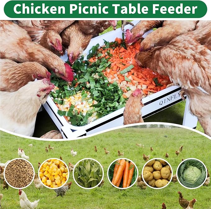 Large Chicken Feeder Starter Kit with Removable Plastic Tray,Chicken Picnic Table Feeders No Waste,Coop Accessories for Real Chickens Supplies