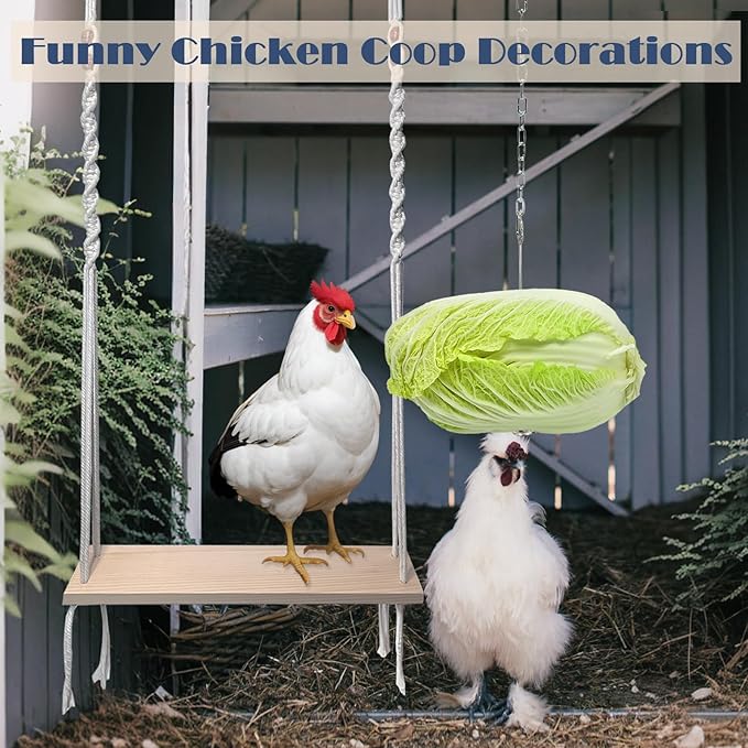 Chicken Swing Toy and Hanging Feeder with Chain and Hook for Large Chicken Coop, Accessories and Decor for Hens and Roosters, Ideal Gifts for Chicken Lovers and Oweners