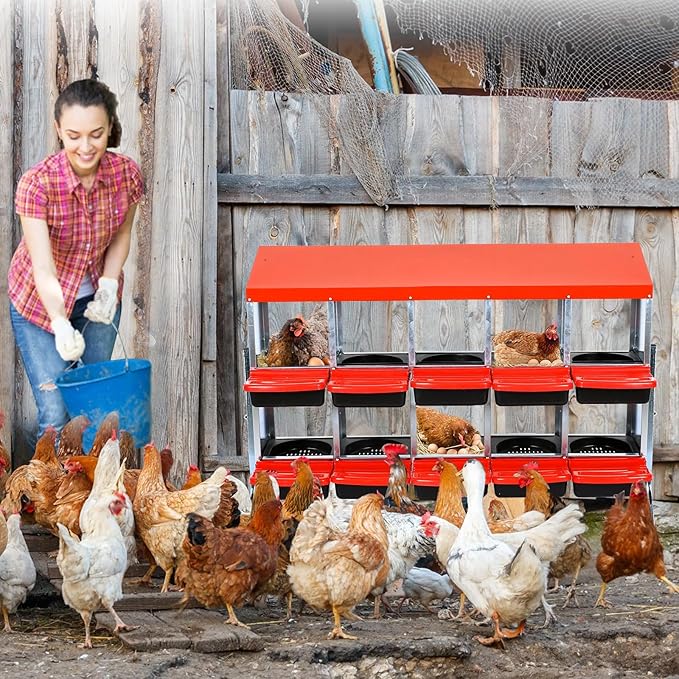 10 Compartment Metal Chicken Nesting Box, Automatic Roll-Out Egg Collection, Waterproof Galvanized Steel Laying Box with Perch & Wall Mount, for Hens Ducks Rabbits,