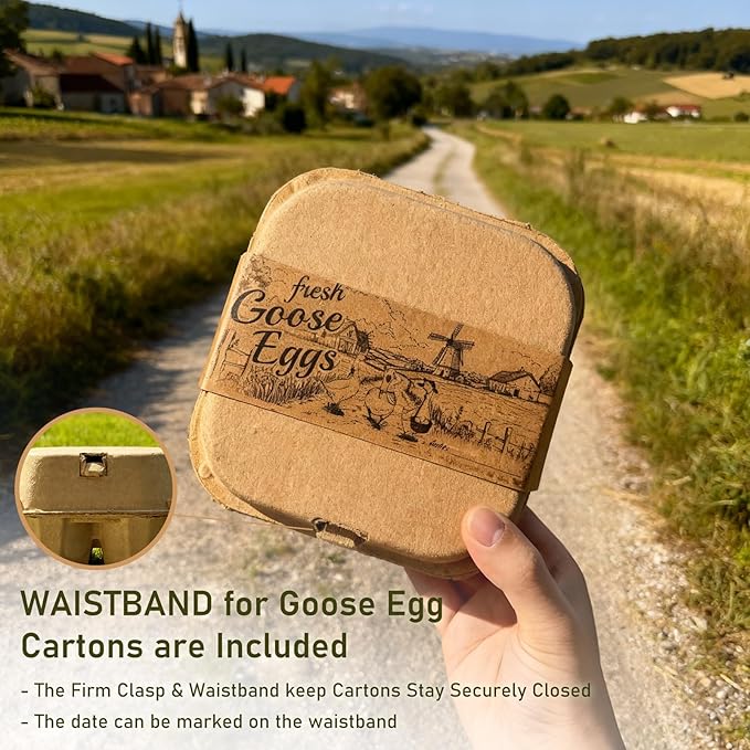 Goose Egg Cartons 4 Grids 30 Pack- Holds Up to 4 Counts Eggs Bulk Blank Container Empty Cardboard Thickness Natural Pulp Egg Boxes