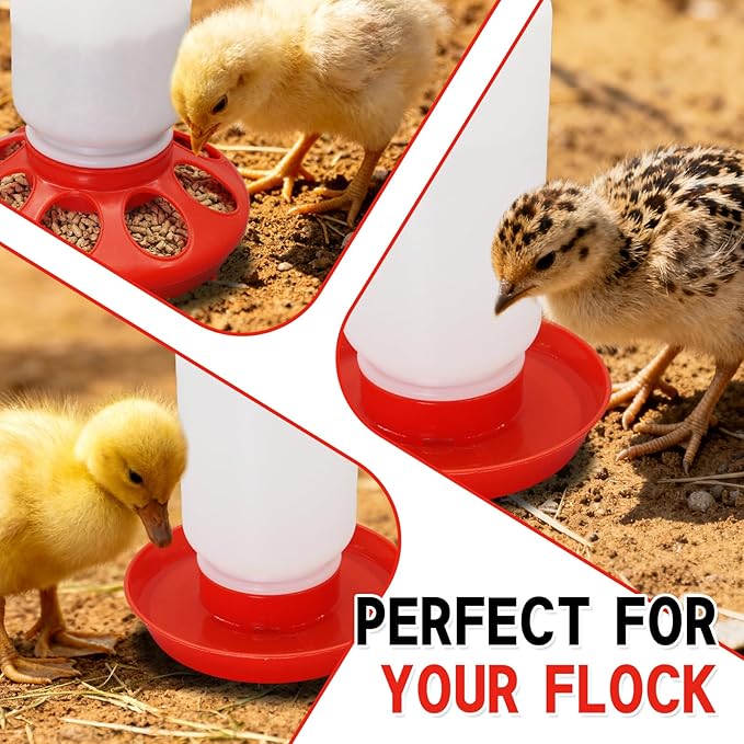 Chick Feeder and Waterer Set – Automatic 1L Chicken Feeder and Waterer for Baby Chicks, Ducks, and Quail – Brooder Starter Kit & Chicken Coop Supplies