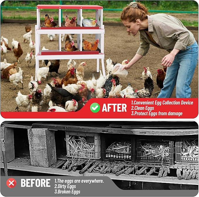 Chicken Nesting Boxes, 6-Compartment Metal Egg Laying Box with Swing Perch and Secure Lid – Versatile Wall Mount or Free Standing Suitable for Various Chicken Breeds - red with Leg