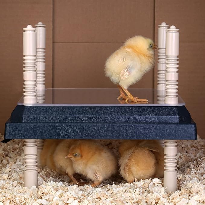Brooder Heater for Chicks: Chick Brooder Heating Plate with Easy- Cleaning Plate Poultry Coop Heater Chicks Warmer 12" x 12" for 20 Chicks Adjustable Height Brooding Heater 22 Watts