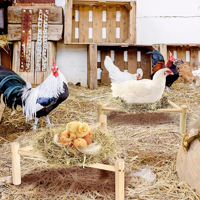 Chicken Perch for Coop & Brooder, Pine Wooden Chicken Toys & Coop Accessories for Chicken Triangular Gym Roosting Bar for Large Hens Parrots Birds, Natural Poultry Stand Chicken Nesting Support - 1P