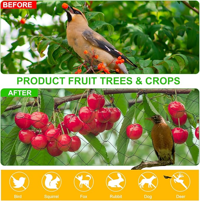 Windyun 2 Pcs 50' X 100' Bird Netting Bird Net Chicken Coop 2.4" Mesh Heavy Duty Deer Fence Aviary Net Reusable Fruit Tree Poultry Barrier for Garden Protection Vineyard Against Hawk Squirrel, Black