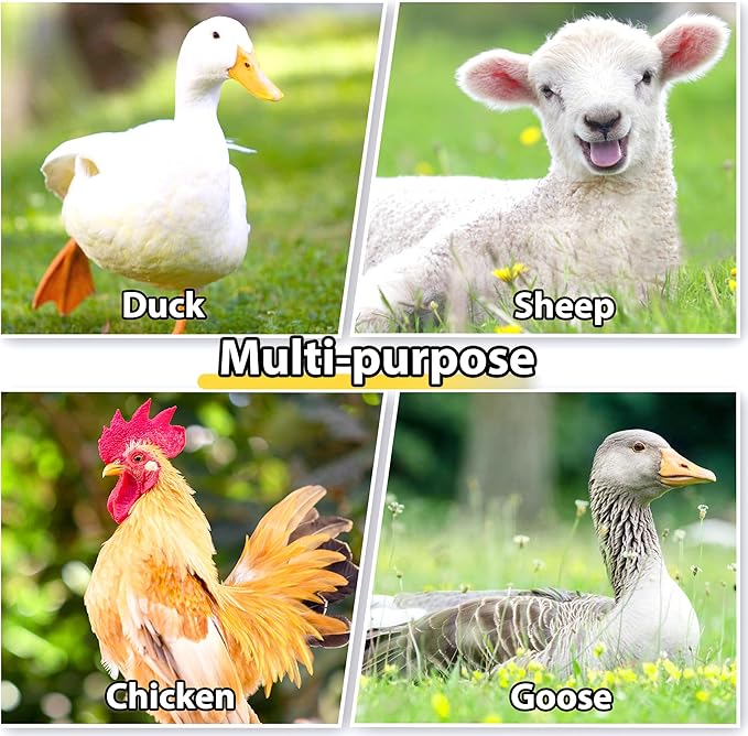 Large Metal Chicken Coops 6.4Lx9.84Wx6.6H FT for 8/10/16 Chickens with Run, Walk in Chicken Run Chicken Pen with Cover and Feeding Door, Spire Poultry Cage Hen House for Yard with Cover