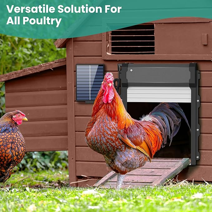 Automatic Chicken Coop Door with Timer & Light Sensor, 4 Modes Automatic chicken door with Remote Control & Anti-pinch Function, Solar Chicken Coop door with External Power Supply Connection, Outdoor