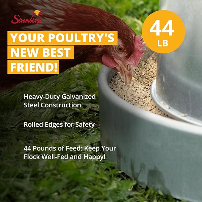 Stromberg's Metal Hanging Poultry Feeder, Galvanized Heavy Duty Steel, Holds 44 lbs, Rolled Edges for Safety, Secure Feed Flow Lock, Versatile Use Free Standing or Hanging