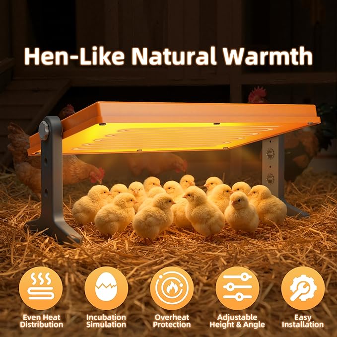 Chick Brooder Heater Plate – 12" x 8" Adjustable Height & Temperature Poultry Warmer for Up to 10 Chicks, Brooder Heating Plate for Chicks and Ducklings, Orange