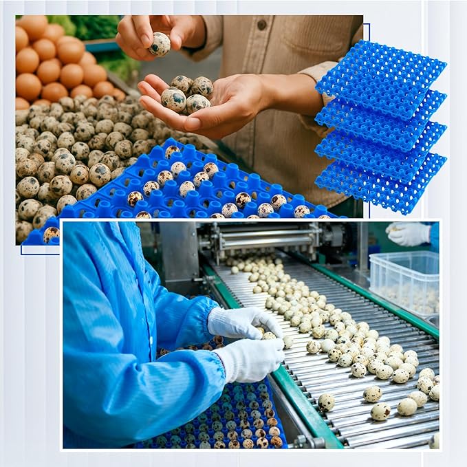 10 Pcs 90 Egg Plastic Trays Quail Egg Flats Holder for Quail Pigeon Dove Bird Flat Carton (Blue)