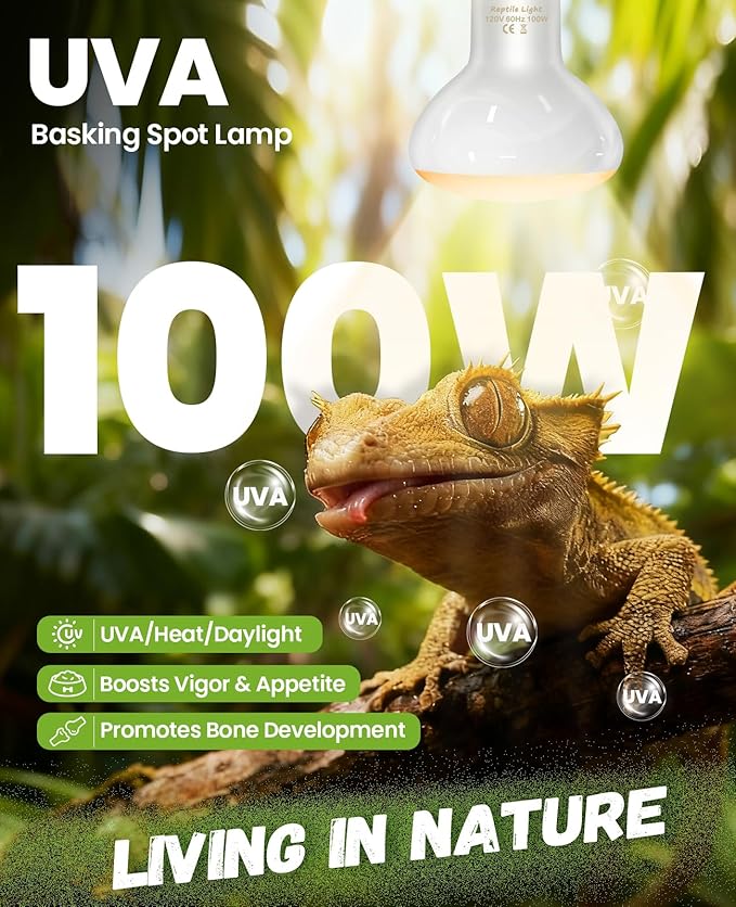 KINDEEP Reptile Basking Light Bulb: 100W Reptile Heat Lamp 2 Pack UVA Daylight Basking Bulb for Amphibian Bearded Dragon Lizard Tortoise Turtle Snake Chicken Pets Heating
