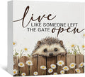 Hedgehog Wooden Box Sign -Rustic Farmhouse Live Like Someone Left the Gate Open Signs for Home Decor, Farm Cottagecore Animal Office Kitchen Bedroom Decor, Hedgehog Gifts for Women, 5x5