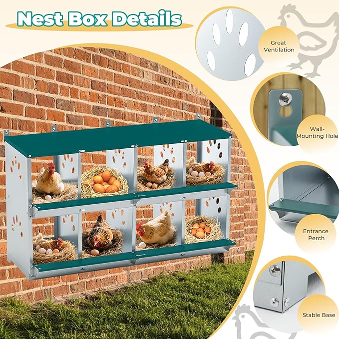 Chicken Nesting Boxes, Wall Mountable Metal Chicken Coop Nesting Box, Easy Egg Collection Roll Away Nesting Boxes Chicken, Roosting Boxes for Chickens, 8 Compartments