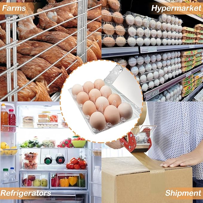 30 Pack Plastic Egg Cartons with Sticker Labels for 12 Eggs，Containers Cheap Bulk for Egg Storage and Transport Refrigerator, Family, Chicken Farm, Market, Camping