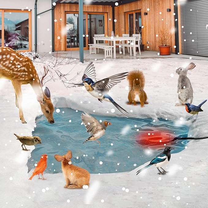 Bird Bath Heaters for Outdoors in Winter, 60W Chicken Water Heater Small Pond Heater De-Icer with Thermostatically Controlled, Pond Warmer for Fish Ponds, Suitable for Birds Chicken Duck Drinking