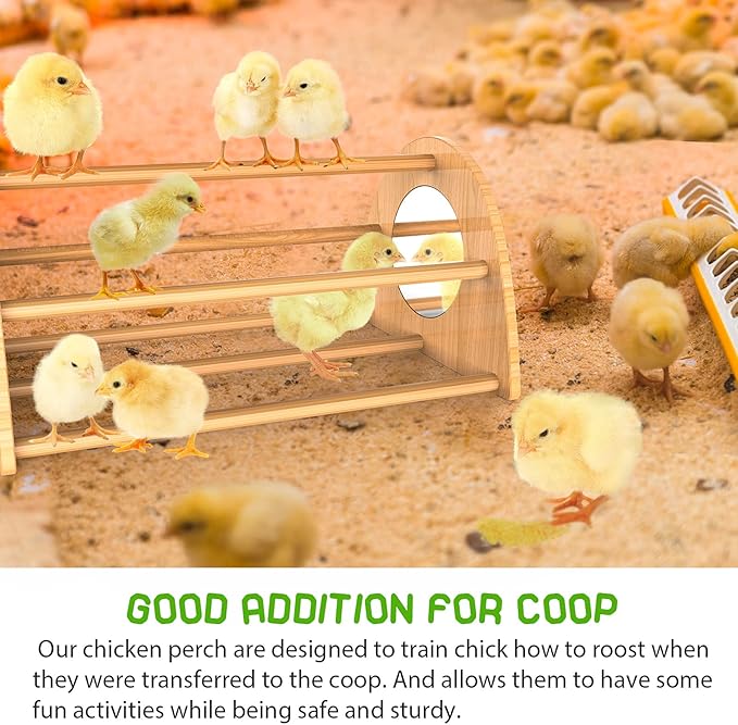 Bamboo Chicken Perch with Mirror, Strong Roosting Bar for coop and brooder, Training Perch for Large Bird, Hens, Parrots, Macaw, Easy to Assemble and Clean, Fun Toys for Chicken