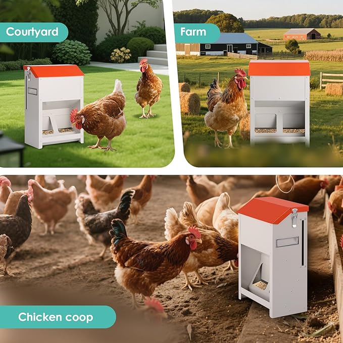 Chicken Feeders No Waste 20lbs Large Automatic Poultry Feeder with Lid Auto Feeding Though Dispenser for Duck Turkey Pheasant Chicken Coop Feeder System