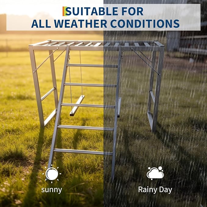 Chicken Perch with Swing, Chicken Roosting Bars with Ladder for Coop, Metal Pet Swing Set for Pet's Healthy & Happy, Chicken Run Toys Accessories for Backyard Farms