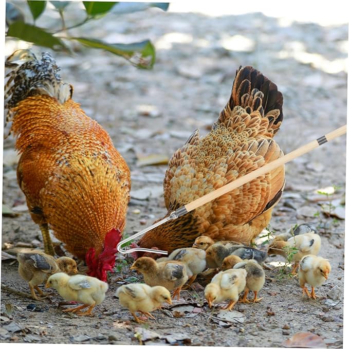 Chicken Catcher Hook Poultry Handling Tool for Effortless Chicken Capture Farms Versatile Efficient and Easy to Use Catching Device