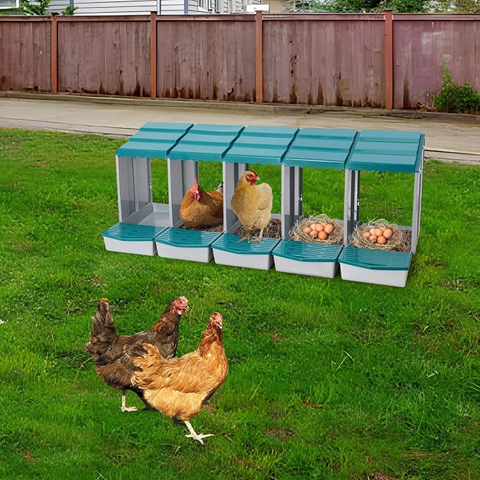 Chicken Nesting Boxes 5 Compartment PP Nesting Box with Inclined Nesting Boxes & Vented Holes Wall Mount Chicken Laying Boxes for Chicken Coop (Green)