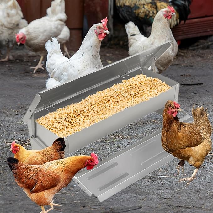 kathson Automatic Treadle Chicken Feeder,11lbs Pedal Chicken Feeder Rat Proof Poultry Feeder with Rainproof Lid Stainless Steel Treadle Feeder for Chickens Pheasants Ducks