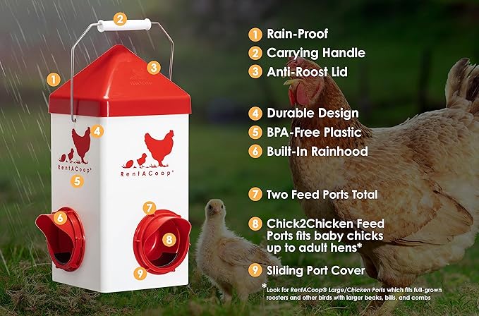 RentACoop Chick2Chicken 5lb 2-Port Feeder and 1-Gal Small Cage Waterer Set - Suitable for Chicks, Chickens, Pigeons, Quail, Game Birds