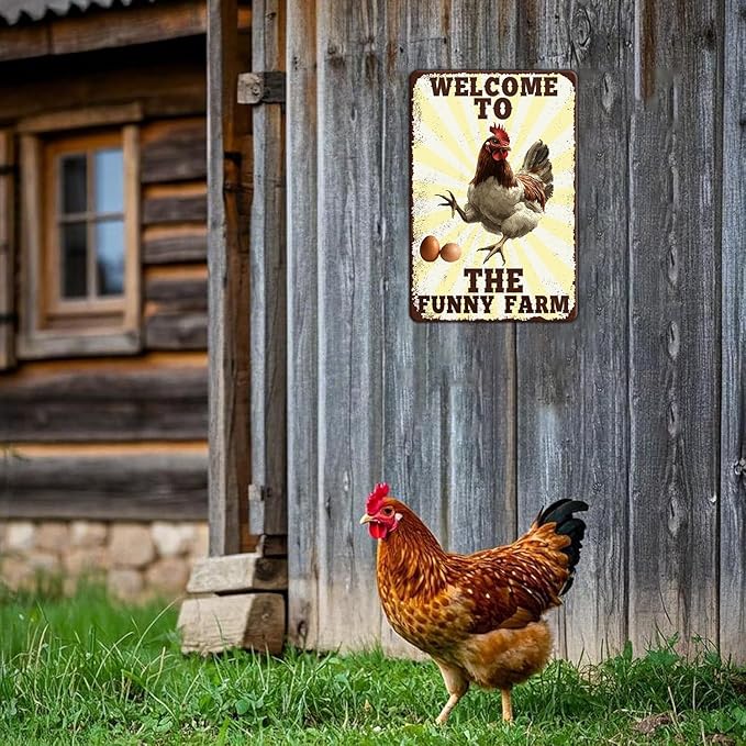 Funny Chicken Signs Welcome To Our Coop Chicken The Funny Farm Aluminium Sign Metal Chicken Signs Decor Home Ktichen Farm Are Wall 12x8 Inch Vintage Chicken Signs For Coop Metal Tin Poster