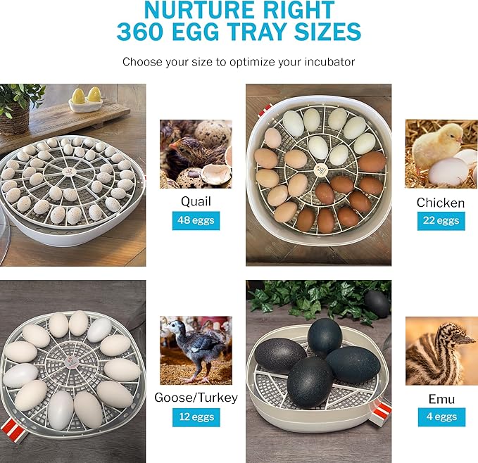 Incubator Warehouse Egg Trays for 11 Large (Goose/Turkey) Eggs - Durable Egg Tray for Nurture Right 360 Egg Incubator - Hand Washable Eggs Keeper for Chicken Goose Turkey Emu (Various Sizes)