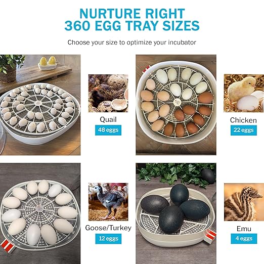 Egg Trays for Nurture Right 360 Egg Incubator (Various Sizes) (Extra Large w/Riser (Emu))