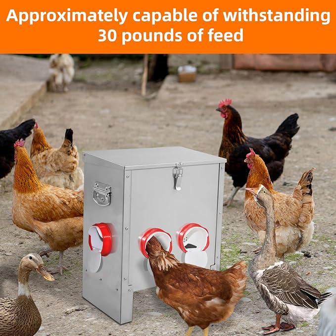 XKV Metal Automatic Chicken Feeder 30LBS with 6 Ports,No Feed Waste,All Seasons Support,Weather-Resistant and Animal-Proof,Suitable for Chicken,Geese,Ducks,Turkeys,Quails