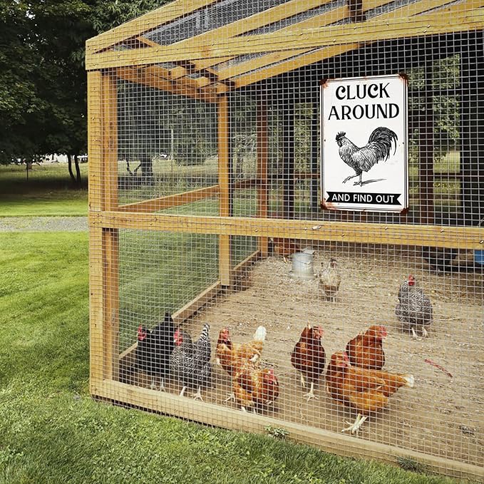 Cluck Around and Find Out Metal Tin Sign for Home Farmhouse Chicken Coop Home Kitchen Wall Decoration Chicken Coop Accessories Decor Wall Art 8x12 Inch