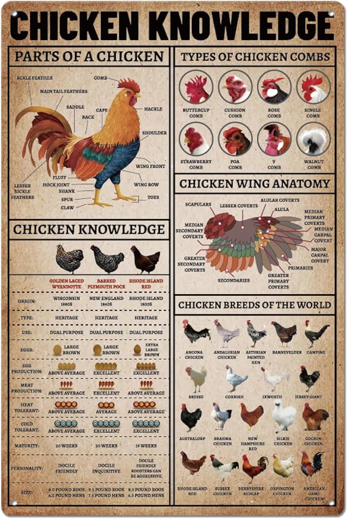 SUPERDANT Farm Chicken Knowledges Metal Tin Sign Vintage Farm Tin Poster Painting Plaque Wall Art Poster Old Fashion Aluminum Sign for Farmhouse Home Kitchen Decor 20×30 CM